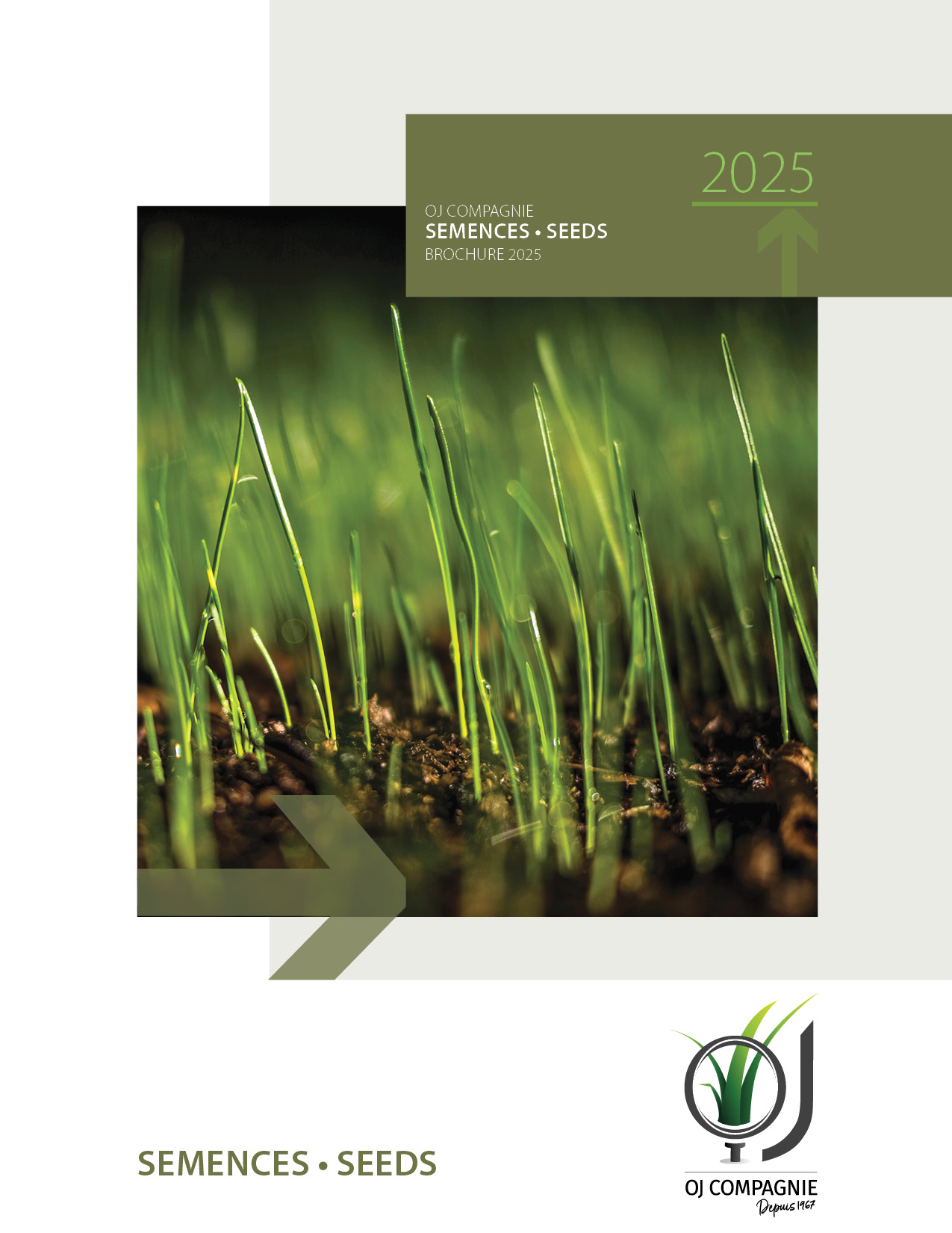 seeds brochure 2025